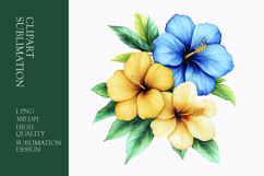Tropical Flower Watercolor Clipart Sublimation PNG Product Image 1