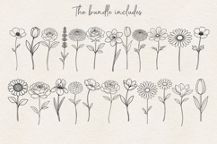 Minimal Botanical Flower SVG Bundle, Thin Line Floral PNG Product Image 2