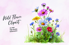 Wildflower watercolor clipart PNG Product Image 1