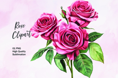 Pink rose watercolor clipart sublimation Product Image 1