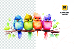 Watercolor colorful cute birds clipart Product Image 1
