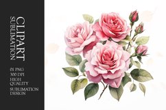 Watercolor chic garden rose clipart Product Image 1
