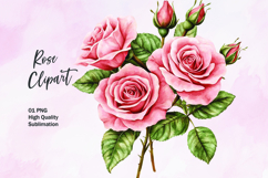 Pink rose watercolor clipart sublimation Product Image 1