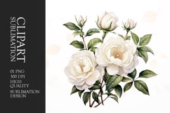 Watercolor chic garden rose clipart Product Image 1