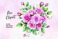 Pink rose watercolor clipart sublimation Product Image 1