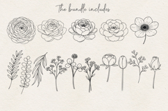 Minimal Botanical Flower SVG Bundle, Thin Line Floral PNG Product Image 3