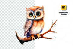 Watercolor owl clipart sublimation png Product Image 1