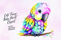 Cute Funny Baby Parrot Clipart Sublimation PNG Product Image 1