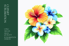 Tropical Flower Watercolor Clipart Sublimation PNG Product Image 1