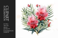 Watercolor bottlebrush flower clipart sublimation png Product Image 1