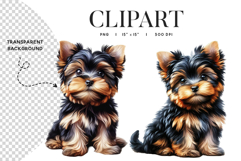 Yorkshire Terrier Puppy Clipart PNG Product Image 1