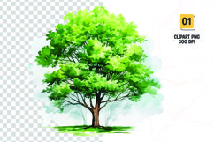 Watercolor tree clipart sublimation png Product Image 1