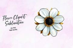 Realistic White Daisy Flower Clipart Sublimation PNG Product Image 1