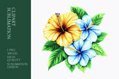 Tropical Flower Watercolor Clipart Sublimation PNG Product Image 1