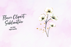 Cotton Branch Floral Clipart Sublimation PNG Product Image 1