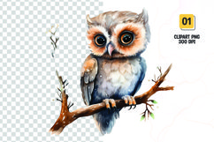 Watercolor owl clipart sublimation png Product Image 1