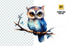 Watercolor owl clipart sublimation png Product Image 1