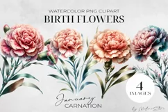 Birth Month Flowers Clipart, January Carnation PNG. Product Image 1