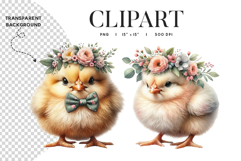 Baby Chick Clipart PNG Product Image 1