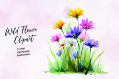Wildflower watercolor clipart PNG Product Image 1