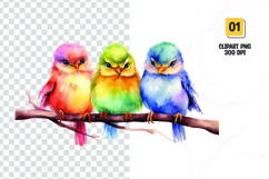 Watercolor colorful cute birds clipart Product Image 1