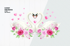 Swan Couple With Flowers Clipart Sublimation PNG Product Image 1