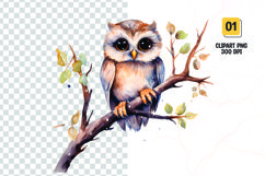 Watercolor owl clipart sublimation png Product Image 1