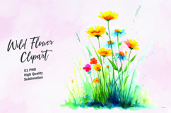 Wildflower watercolor clipart PNG Product Image 1