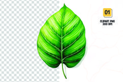 Watercolor green leave clipart sublimation png Product Image 1
