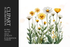Watercolor buttercups flower clipart sublimation png Product Image 1