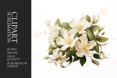 Watercolor jasmine flower clipart sublimation Product Image 1