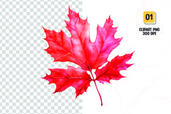 Watercolor red leave clipart sublimation png Product Image 1
