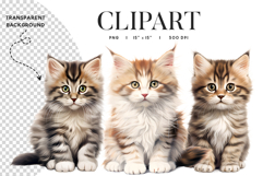 Tabby Kitten Clipart PNG Transparent Background Product Image 1