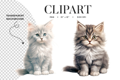 Fluffy Kitten Clipart PNG Transparent Background Product Image 1