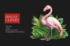 Flamingo Clipart Watercolor, Pink Flamingos Summer Clip Art Product Image 1
