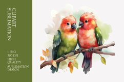 Two Cute Bird Watercolor Clipart Sublimation Product Image 1