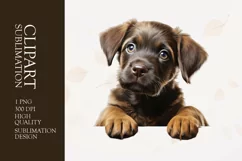 Watercolor cute floral puppy Dog clipart sublimation Product Image 1