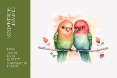 Two Cute Bird Watercolor Clipart Sublimation Product Image 1