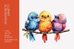 Cute baby birds watercolor clipart sublimation Product Image 1