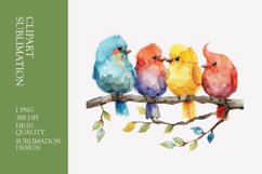 Cute baby birds watercolor clipart sublimation Product Image 1