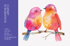 Two Cute Bird Watercolor Clipart Sublimation Product Image 1