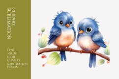 Two Cute Bird Watercolor Clipart Sublimation Product Image 1