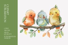 Cute baby birds watercolor clipart sublimation Product Image 1