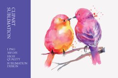 Two Cute Bird Watercolor Clipart Sublimation Product Image 1