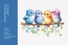 Cute baby birds watercolor clipart sublimation Product Image 1