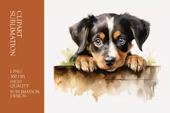 Cute funny dog peeking watercolor clipart sublimation Product Image 1