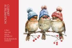 cute bird winter hats sitting on branch watercolor clipart Product Image 1