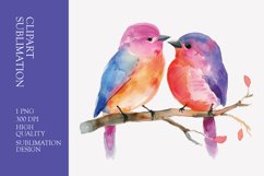Two Cute Bird Watercolor Clipart Sublimation Product Image 1