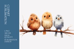 Funny Birds Sitting On Branch Watercolor Clipart Sublimation Product Image 1