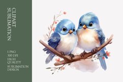 Two Cute Bird Watercolor Clipart Sublimation Product Image 1
